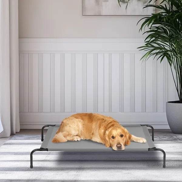 50D X 31W X 8H Dog Bed - EX-STOCK Canada