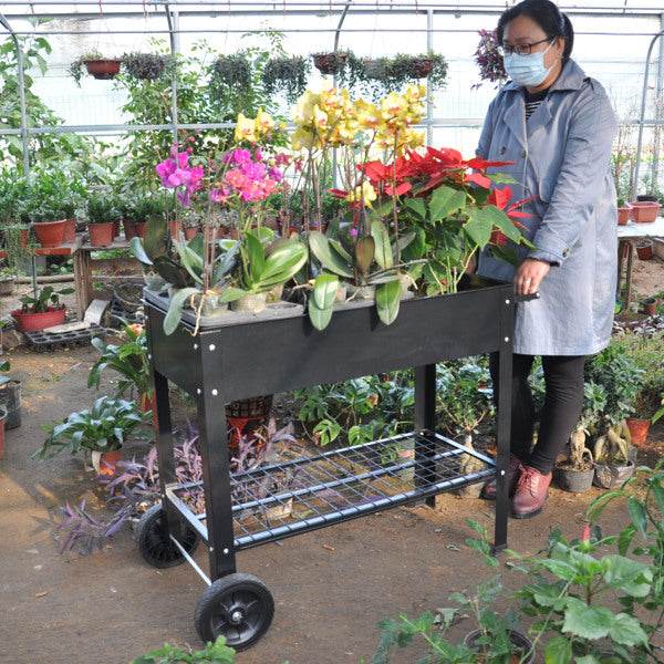 Rolling Mobile Raised Garden Bed Cart Planter Garden Bed Cart - EX-STOCK Canada