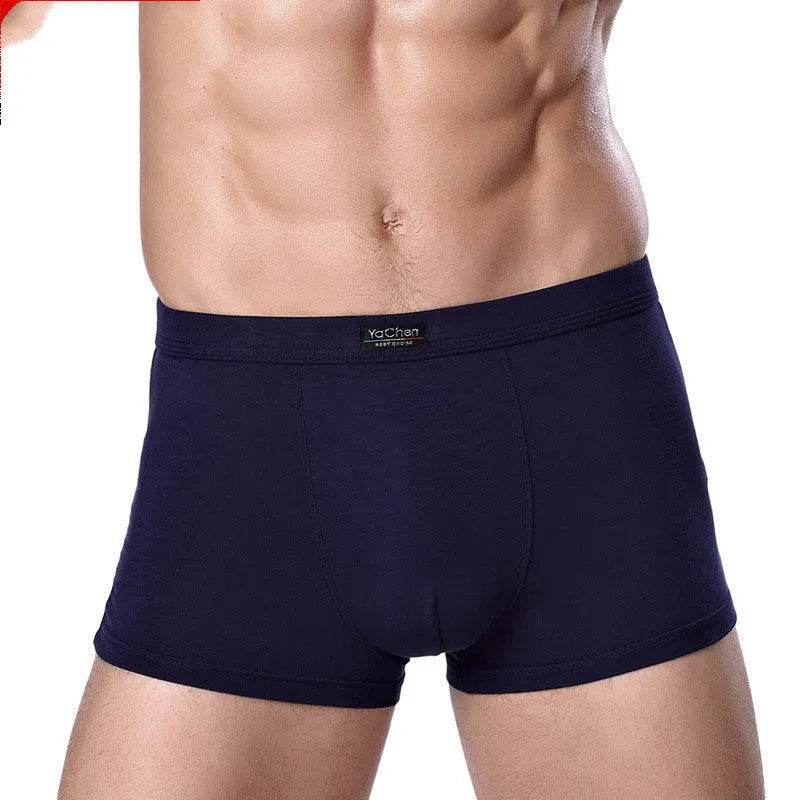 Men's Underwear Boxer Briefs Panties Bamboo Fiber Modal - EX-STOCK Canada