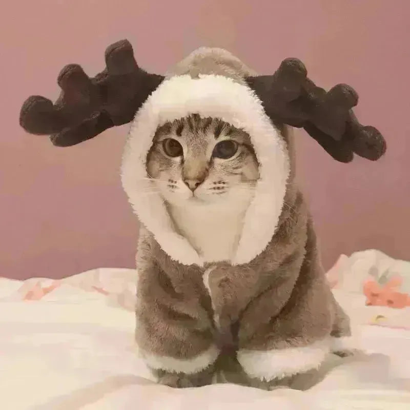 Vêtements de chat et de chiens automne et Noël d'hiver