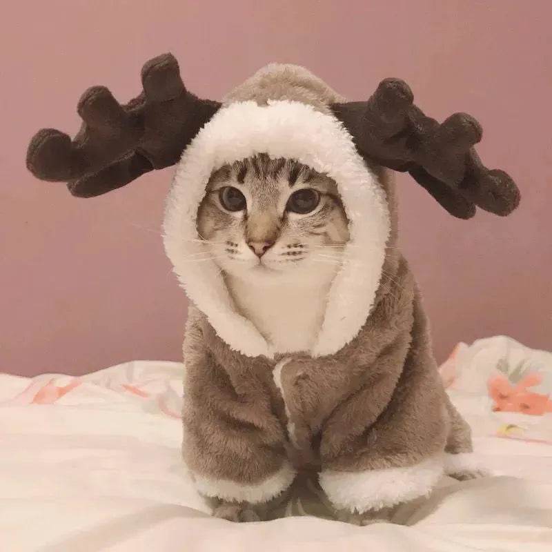Cat And Dog Clothes Autumn And Winter Christmas - EX-STOCK Canada