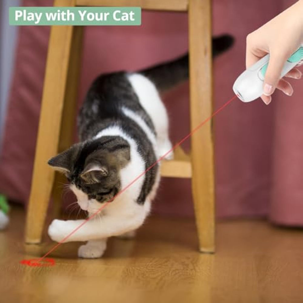 Cat playing with a laser pointer held by a person on a wooden floor.