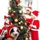 Dog Christmas Clothes Santa Claus Riding Deer - EX-STOCK Canada