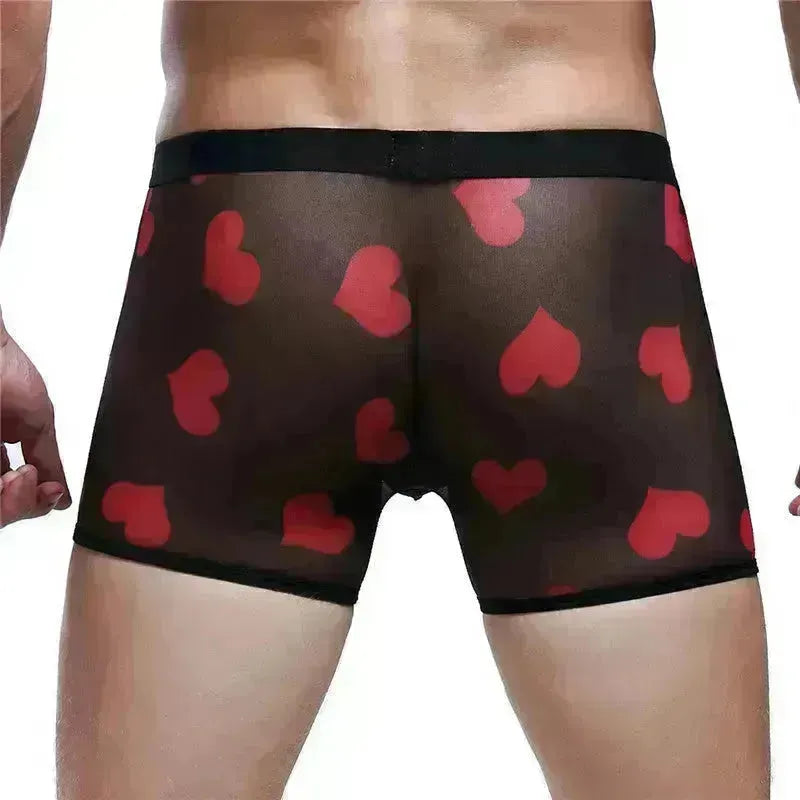 Spandex Mesh Printed Pouch boxer briefs underwear men