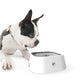 Cat Dog Water Bowl Anti Splash Design - EX-STOCK Canada