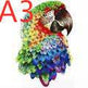 Animal Shaped Wooden Puzzle Play Toy for Kids 14 years above - EX-STOCK Canada