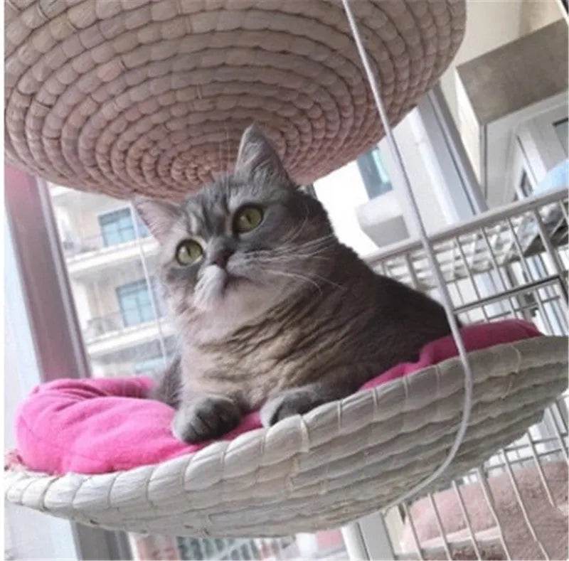 Cat Climbing Frame Cat Litter Cat Tree Cat Jumping Platform Cat Scratching Frame - EX-STOCK Canada