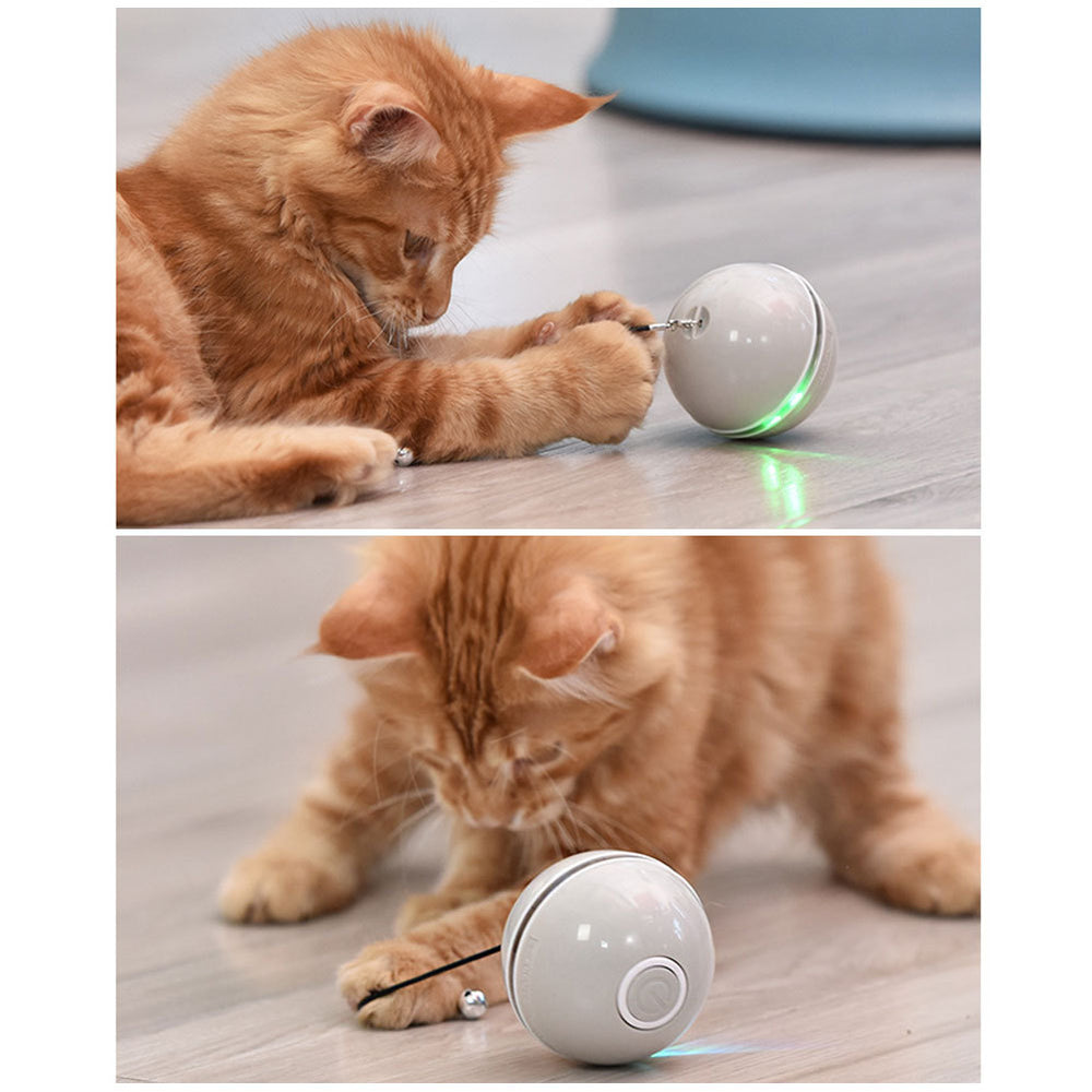 Colorful LED Laser Funny Cat Ball EX-STOCK Canada