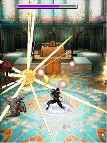 Ninja Gaiden - Drachenschwert