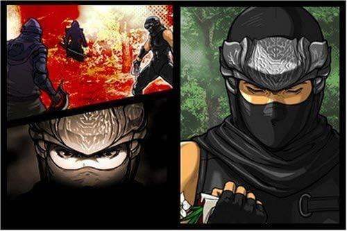 Ninja Gaiden - Drachenschwert