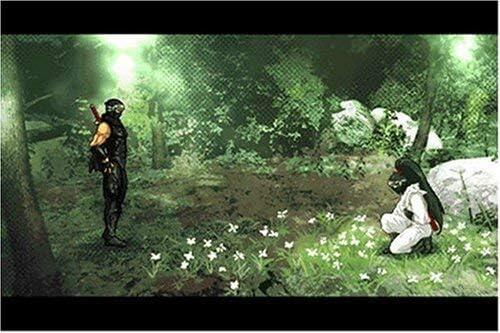 Ninja Gaiden - Drachenschwert
