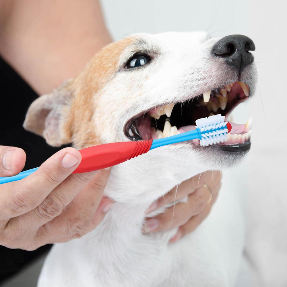 Brosse à dents pour chien 360 degrés Brosse à dents pour chien, kit de brossage à double tête Brosse à dents antidérapante pour chiens et chats Nettoyage des dents Brosse à dents pour animaux Soins dentaires