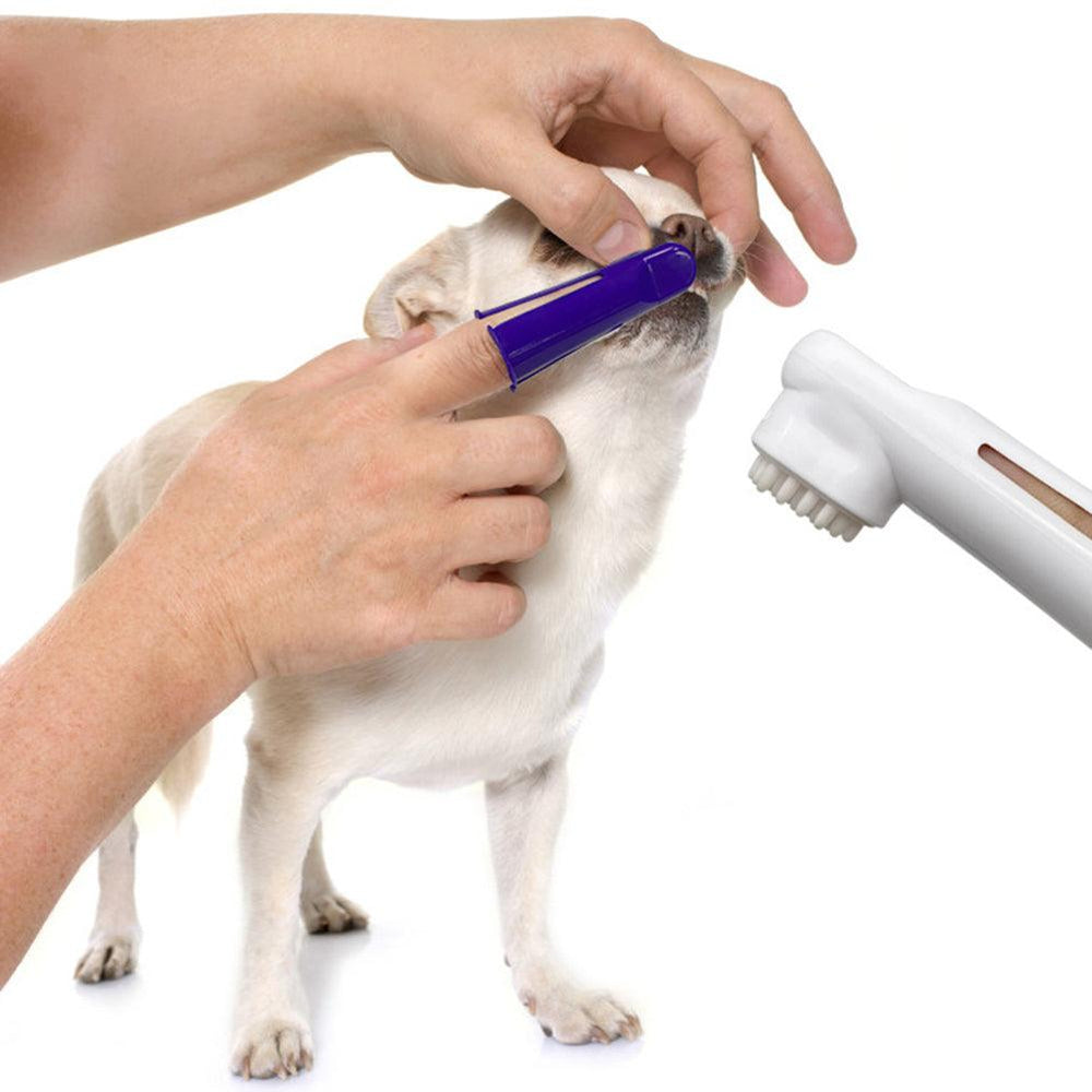 Ensemble dentifrice et brosse à dents pour chien saveur bœuf Nettoyage buccal