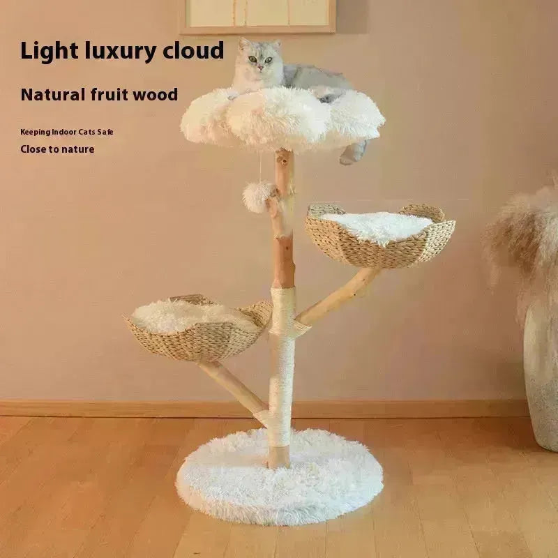Arbre fruitier naturel Cat d'escalade