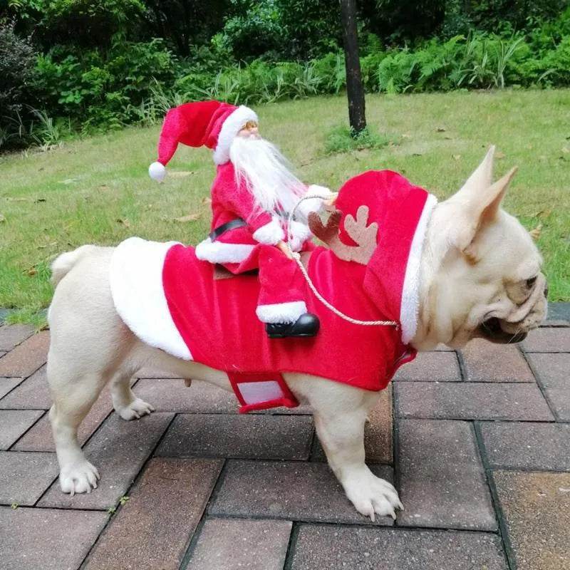 Santa riding outfit - EX-STOCK Canada