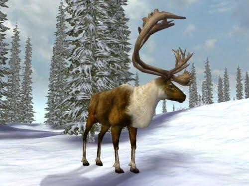 Cabela's Legendary Adventures