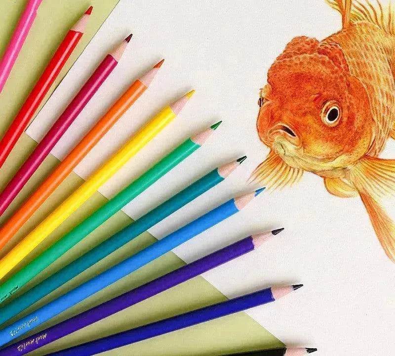 Ensemble de crayons de couleur créatifs 24 couleurs - Organisation de formation EX-STOCK Canada