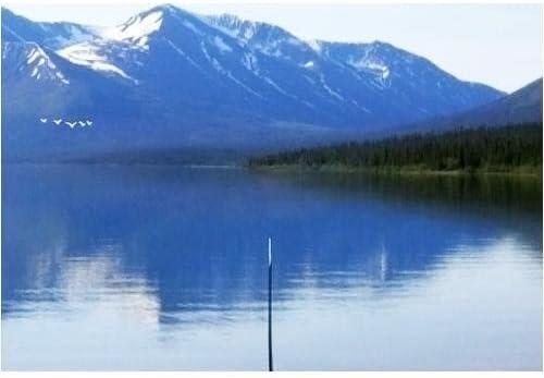 Reel Fishing: Anglers Traum