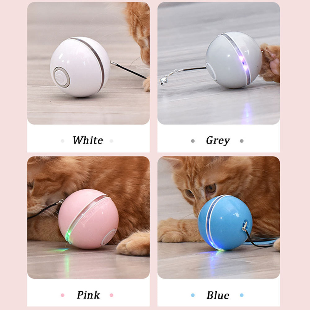 Colorful LED Laser Funny Cat Ball EX-STOCK Canada