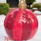 Christmas Ornament Holly Ball Outdoor Tree Decoration Christmas Balls for Yards - EX-STOCK Canada