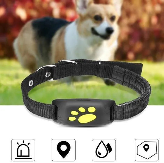 GPS Pet Tracker GPS Dog fence - EX-STOCK CANADA