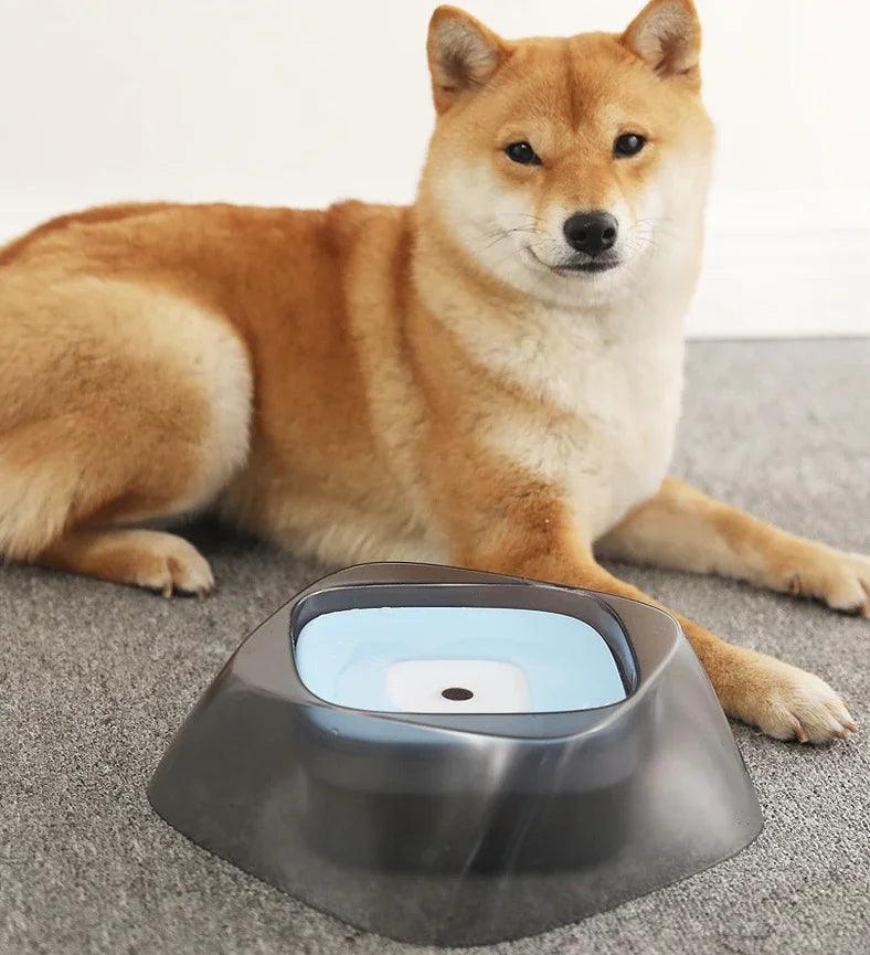 Pet Dog Bowl Floating Not Wetting Mouth Cat Bowl No Spill Drinking Water Feeder EX-STOCK Canada