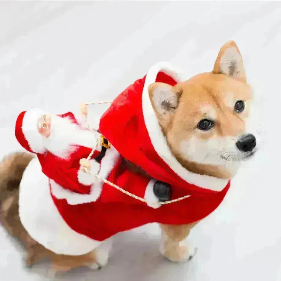 Vêtements de Noël de la mode Green Elf Pet Dog Christmas Costume