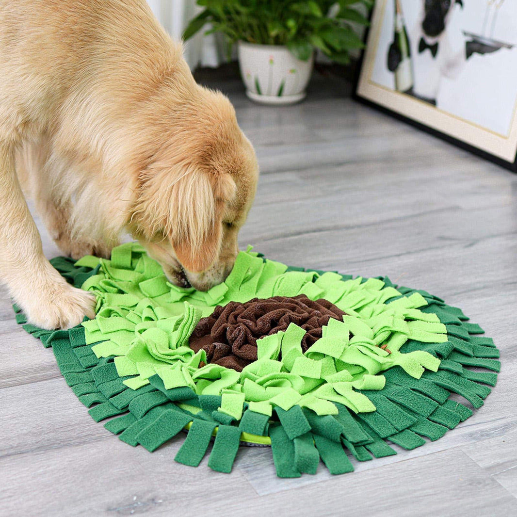 Dog Sniffing Mat Dog Puzzle Toy Pet Snack Feeding Mat Boring Interactive Game Training Blanket Snuffle Feeding Training Mat EX-STOCK Canada