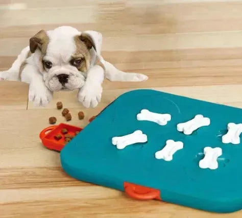 Pet toys casino treasure hunt puzzle food trat spill Cat toy - EX-STOCK CANADA