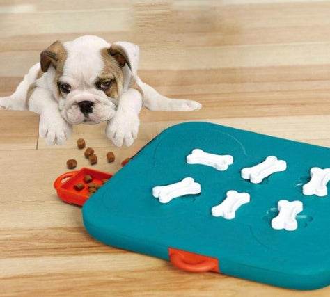 Pet toys casino treasure hunt puzzle food trat spill Cat toy - EX-STOCK Canada