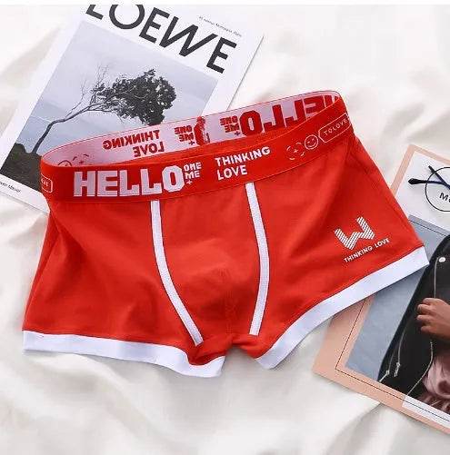 Men's Cotton Boxer Briefs Trendy Breathable Low waist underwear - EX-STOCK Canada