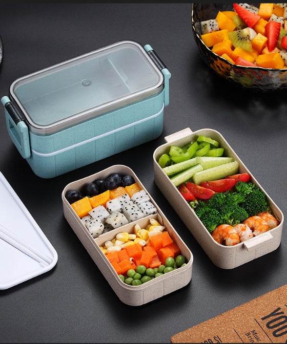 Portable Kids Lunch Box School Lunch Container for Children - EX-STOCK Canada