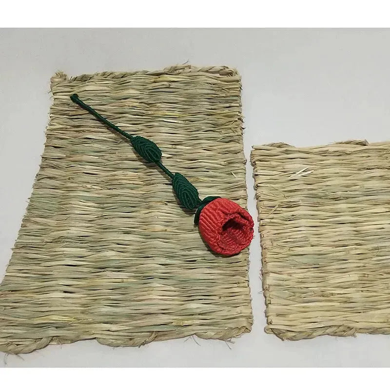 Pet Natural straw mat