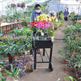 Rolling Mobile Raised Garden Bed Cart Planter Garden Bed Cart - EX-STOCK Canada