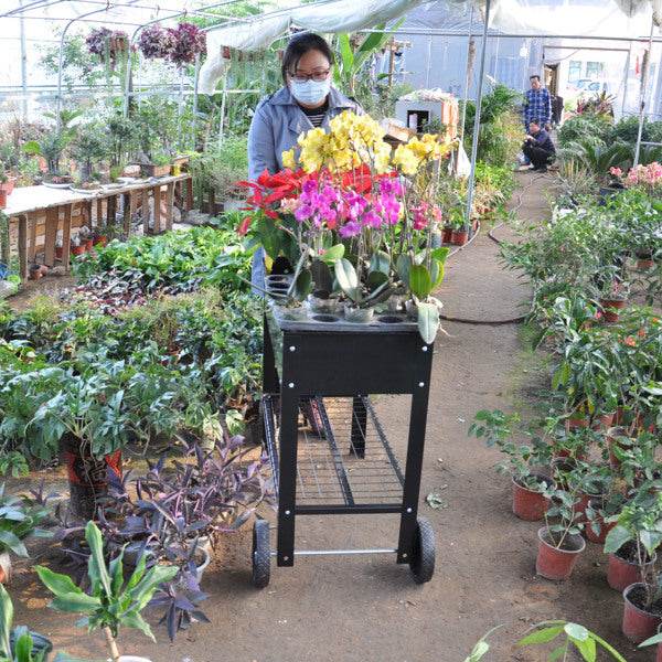 Rolling Mobile Raised Garden Bed Cart Planter Garden Bed Cart - EX-STOCK Canada