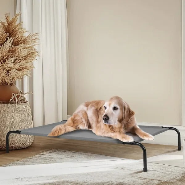50D X 31W X 8H Dog Bed EX-STOCK