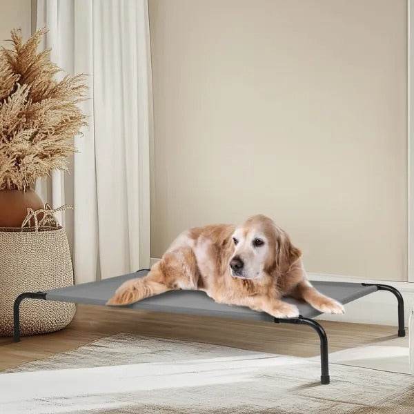 50D X 31W X 8H Dog Bed - EX-STOCK Canada