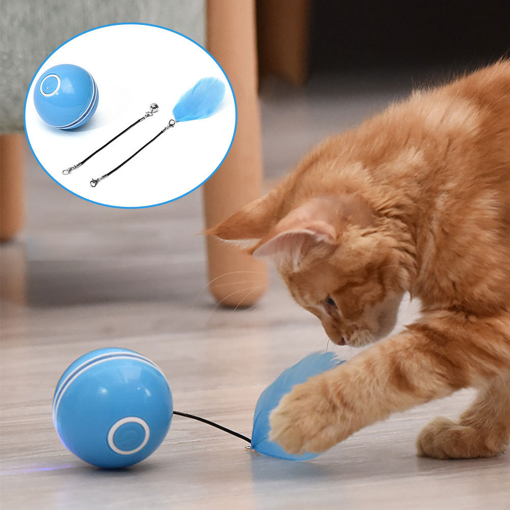 Colorful LED Laser Funny Cat Ball EX-STOCK Canada