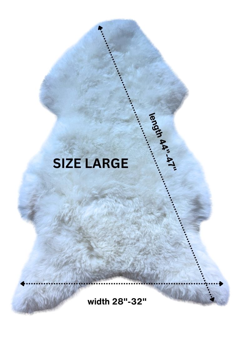 Shorn White Icelandic Sheepskin