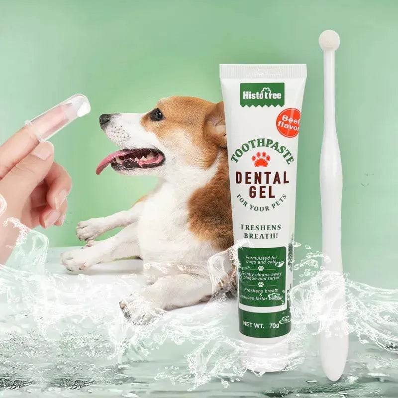 Buy 3pcs Pet Oral Care Kit Dog Cat Dental Care - EX-STOCK Canada