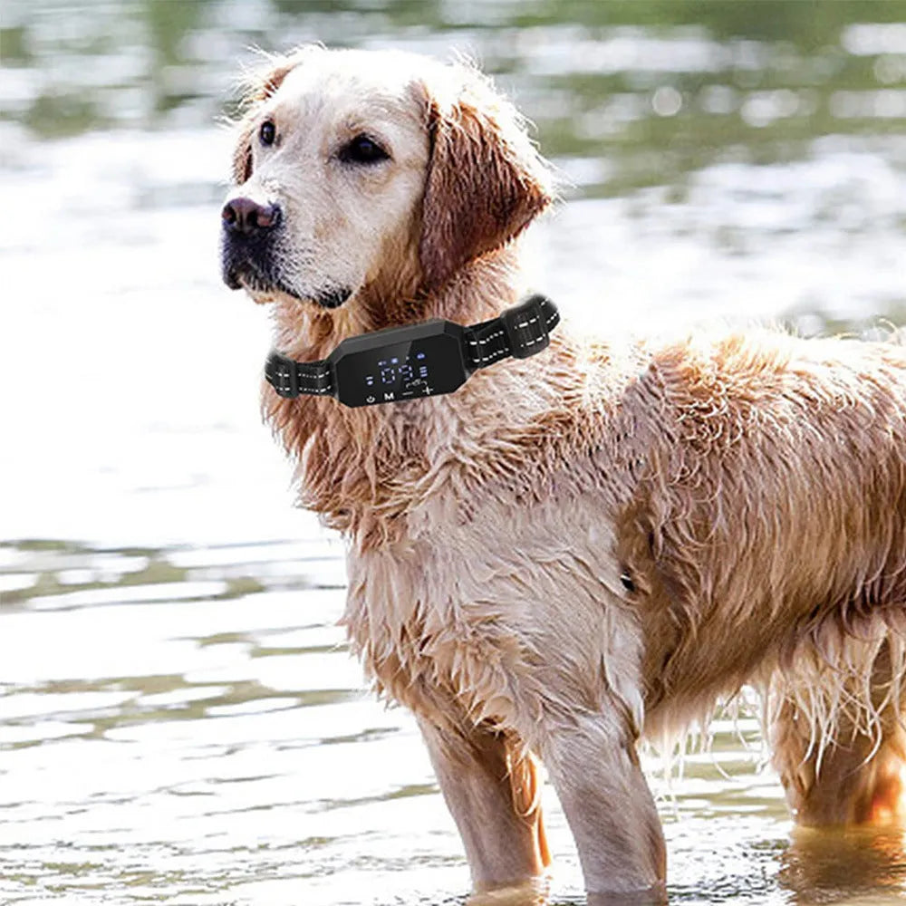 Pet Wireless Electronic collar GPS Dog fences - EX-STOCK CANADA