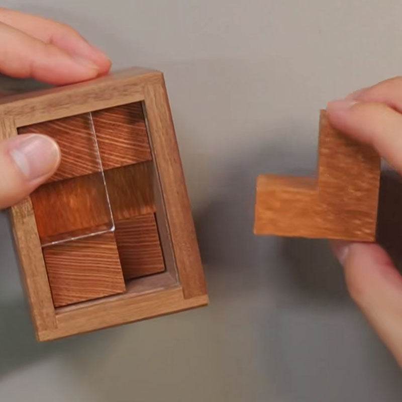 Einstein Lock Wooden Puzzle International Braised Brain Decompression - EX-STOCK Canada