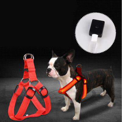 Pet Products LED Luminous Dog Chest Strap Large Dog Luminous Dog Leash EX-STOCK Canada