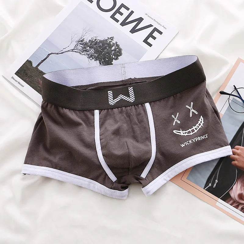 Men's Slim-fit Ball Sack Boxer Brief Sporty Simplicity underwear - EX-STOCK Canada