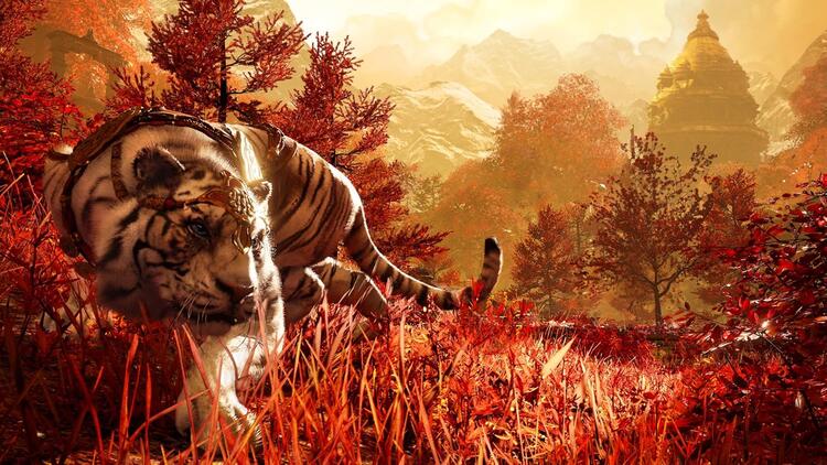 Farcry 4