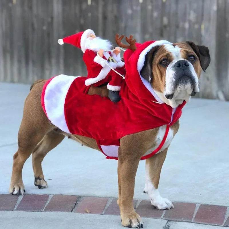 Santa riding outfit - EX-STOCK Canada