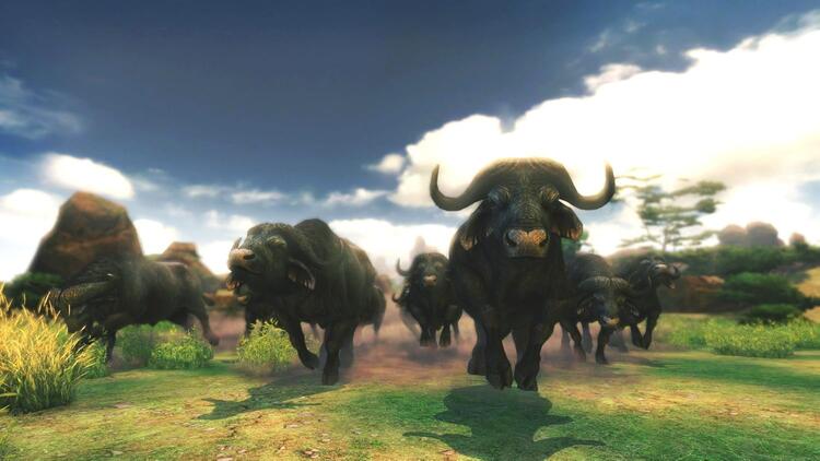Cabela's African Adventures