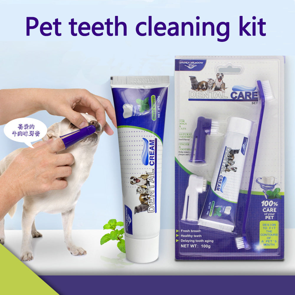 dog dental care kit with toothbrush and toothpaste