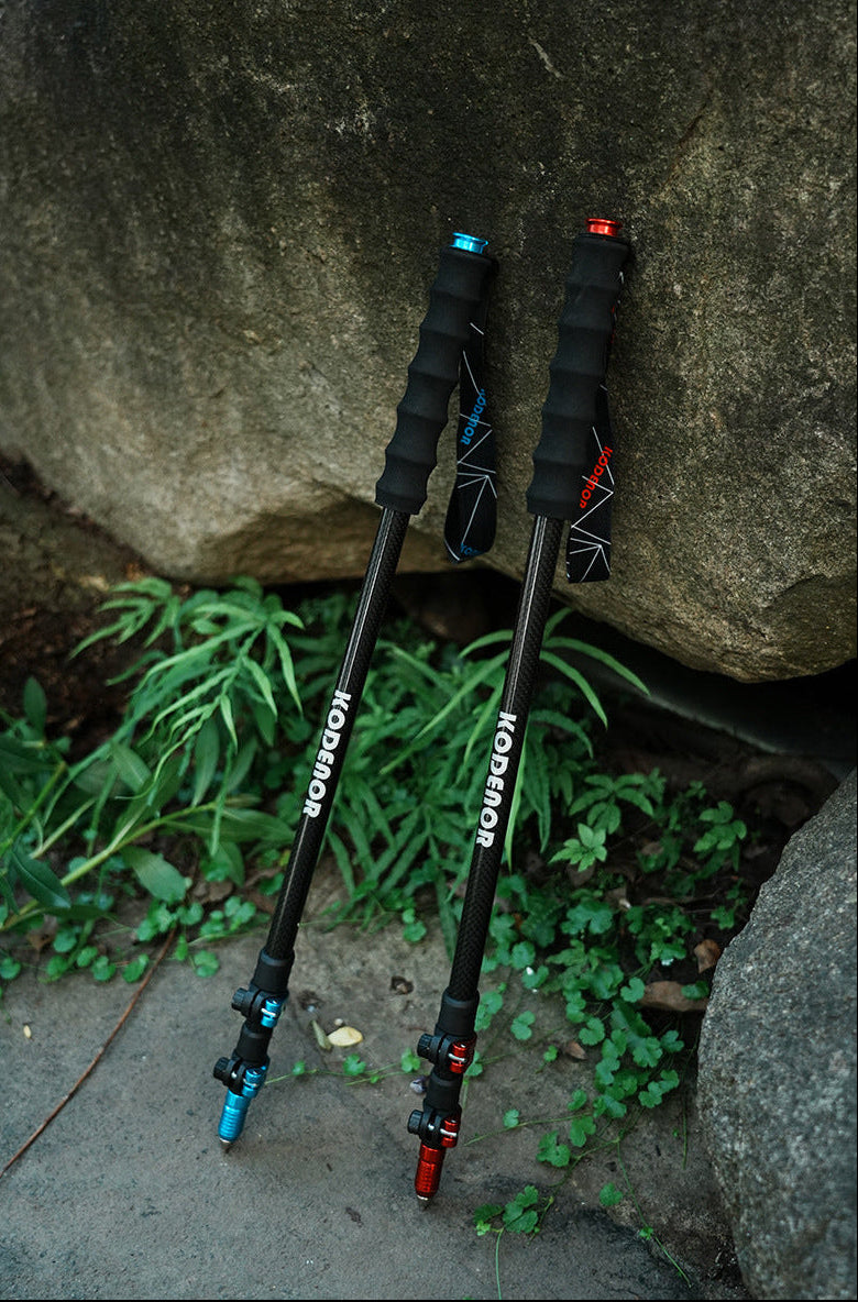 Two black hiking poles with blue and red accents leaning against a large rock outdoors on a paved ground with green plants.