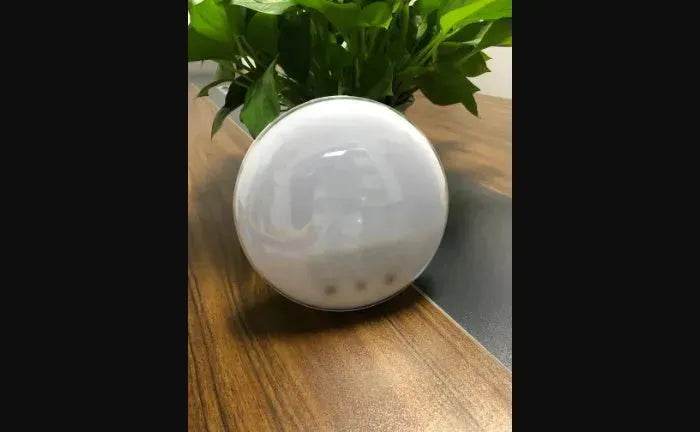 Wifi voice control smart wake-up light alarm clock - EX-STOCK Canada